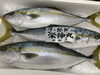 「鮮魚パックいろいろ販売中‼️〆鯖も販売致します🐳」