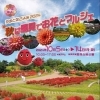 秋は馬見でお花とマルシェ♪♪　馬見公園へ出発だ！！