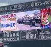 「広島県　マツダスタジアムに行ってきました❗️」