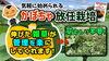 「【夏場の環境を利用して!】畑の残渣をいち早く分解する「フカフカ土壌」をつくる為に必要な方法とは…  たねのハシモトミヤ」