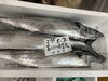 「鮮魚パックいろいろ販売中‼️〆鯖も販売致します🐳」