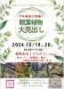 チラシ「観葉植物🪴大売り出しのお知らせ📢」