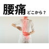 腰痛はどこから？「【腰痛】腰痛はどこから？」