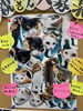 「子猫の里親決定について」