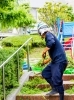 庭の雑草の草むしり 庭木の枝の切り取り 庭への除草剤の散布