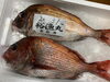 「鮮魚パックいろいろ販売中‼️〆鯖も販売致します🐳」