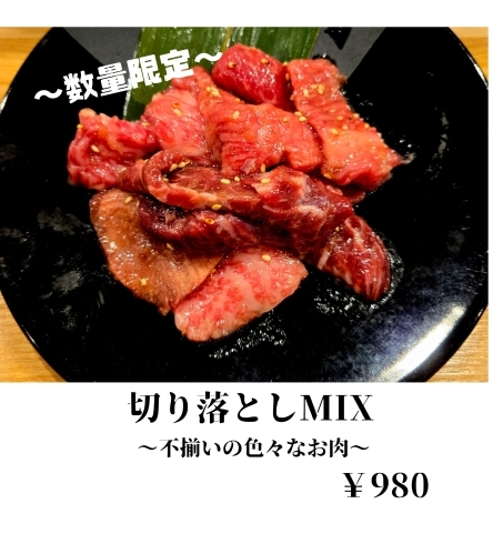 切り落としMIX 「数量限定」