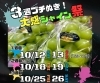 「３週ブチぬき！大感シャイン祭！」