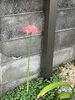 「秋ですね。」