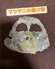 毛穴の奥にたまった汚れもスッキリオフ！「◯◯が下手な人はマツヤニがオススメ！」