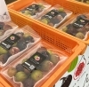 「【雨にも負けず、いちじく直売のご用意できました】」