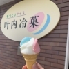 【Vol.7 叶内冷菓】まいぷれ新庄最上スタッフが気になるお店に行ってみた🍧