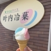 【Vol.7 叶内冷菓】まいぷれ新庄最上スタッフが気になるお店に行ってみた🍧