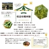 チラシ「【収穫体験情報】🌿枝豆収穫体験を開催します🌿」