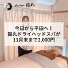 「今日から平田町のサロンになりました！ドライヘッドスパも超おトク(=^ェ^=) 整体・オイル・リーディング・占い・顔そり・氣功」