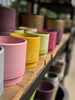 樹脂ポット鉢「鉢入荷致しました！【福島市観葉植物専門店greenfeel】」