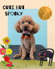 「Dog salon mofu mofu　余市町」
