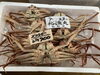 「鮮魚パックいろいろ販売中‼️〆鯖も販売致します🐳」
