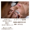 アイリスト募集中「アイリスト募集してます」