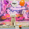 もんたちゃん「今日のお友達」