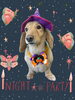 「Dog salon mofu mofu　余市町」