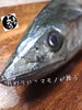 「サワラ入荷致しました
【浜町の海鮮居酒屋 上なり】」