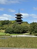 旅行「岡山くだもの王国🍇」