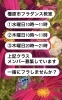 メンバー募集「橿原市フラダンス教室　メンバー募集中🌺Luana Hula Studio」