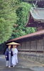 「☆秋晴れの10月☆婚礼シーズン真っ只中☆」
