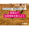 「季節の変わり目の秋にもひのき酵素浴でリラックス！【福島市鎌田にある酵素浴･痩身エステ】」