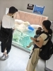 赤ちゃんとママと動物園「＼お出かけ講座第4回日本平動物園🐅／」