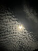 「満月の日にイカ釣り🌕🦑」