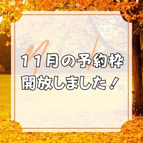 11月の予約枠「【11月の予約枠を開放しました♪】」