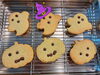 Trick or treat! 「【オープンクラスDayのお知らせ】10/26(土)ハロウィンについて学ぼう！」