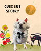 「Dog salon mofu mofu　余市町」