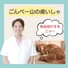 院長自己紹介「院長の自己紹介をInstagramでしています✨」