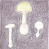 「きのこのイラスト🍄」