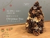 終了しました】11月29日(金)松ぼっくりでChristmasTreeを作ろう
