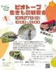 「10月のビオトープ生き物観察会🍃」