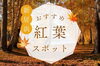 「【2024年】紅葉スポットまとめ 掲載しました！」