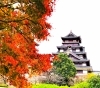 「【編集部ニュース】神無月(かんなづき)の京都･城下町伏見から『伏見の紅葉名勝地』を紹介します‼　＠京ちゃんの伏見ヒストリー日記」