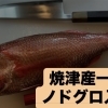 焼津産一本釣りノドグロ入荷🐟