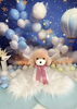「11月フォトセット」