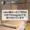 「ご予約は公式LINEやInstagramのDMでも受け付けています(=^ェ^=) 整体・オイル・リーディング・占い・顔そり・氣功」