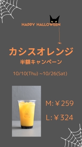 「カシスオレンジ半額キャンペーン　明日（26日）まで！」