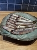 「【津田駅】希少な魚入荷しました！」