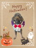 「Dog salon mofu mofu　余市町」
