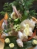 山北真鯵と岩船活〆平目♪「🐟🐟🐟本日のお刺身☆彡 🐟🐟🐟」