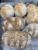 十字がプレーン　シマシマがくるみ　Wかフィグ「お食事パン　カンパーニュ　岡山市北区パン屋　Bancho Bakery」