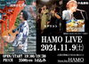 「HAMO　LIVE」
